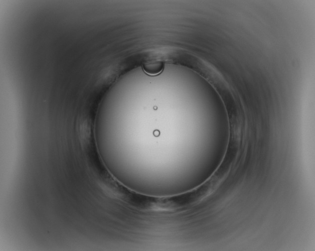 X0000114210603200910161249