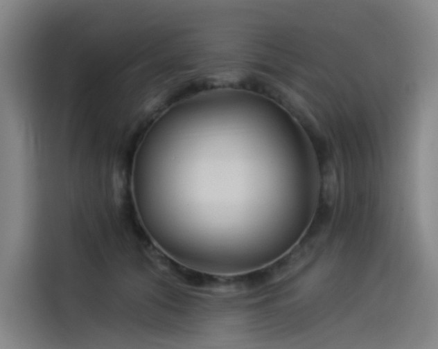 X0000114210608200910161249