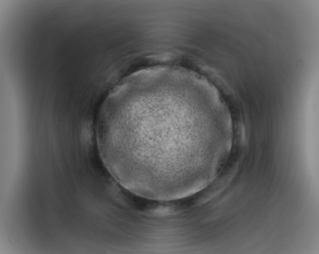 X0000114210612200910161249