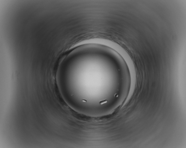 X0000114210613200910161249