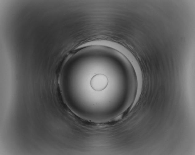 X0000114210617200910161249