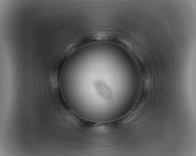 X0000114210620200910161249