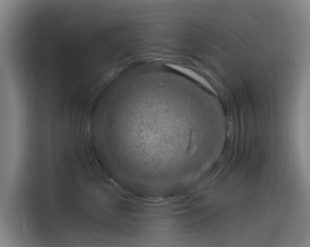 X0000114210621200910161249