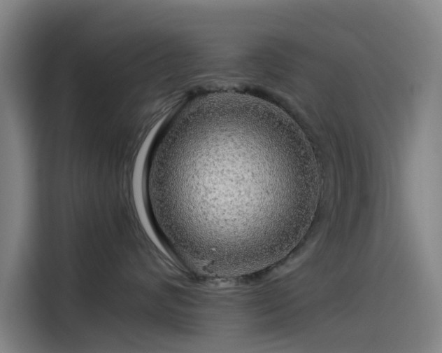 X0000114210624200910161248