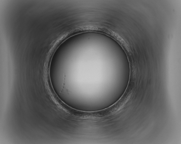 X0000114210625200910161248