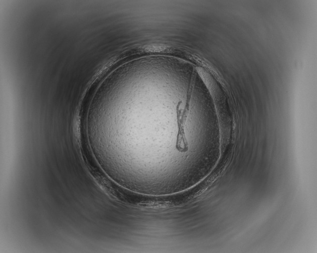 X0000114210626200910161248