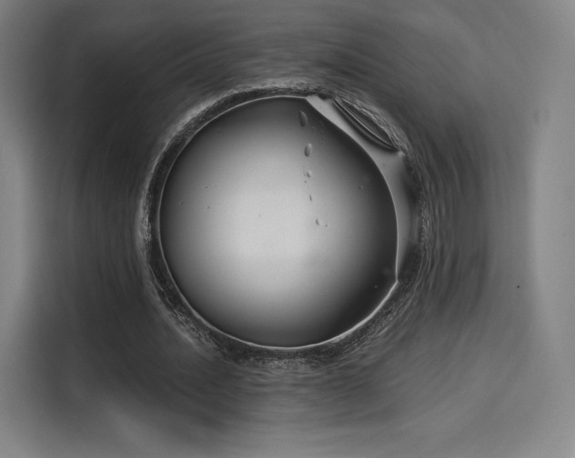 X0000114210628200910161248