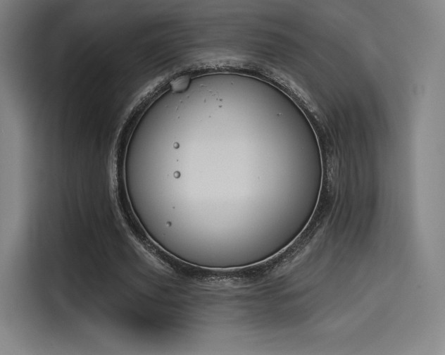 X0000114210629200910161248