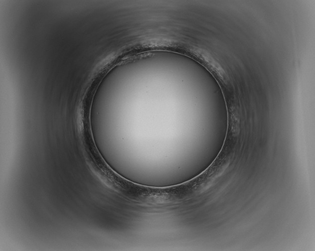 X0000114210631200910161248