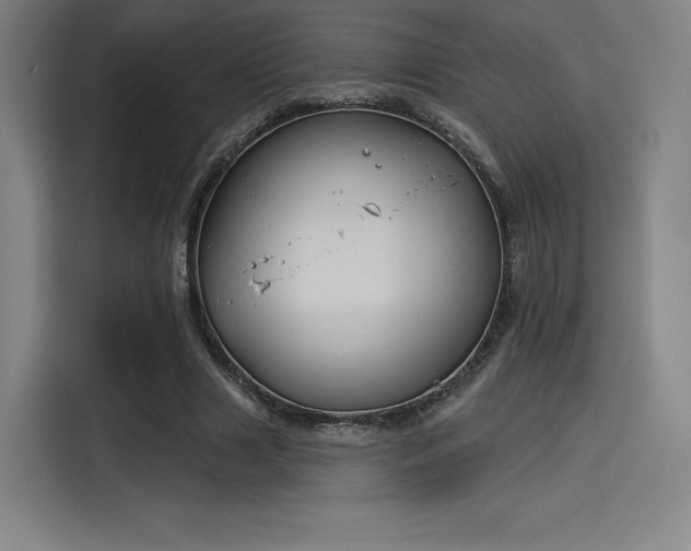 X0000114210633200910161248