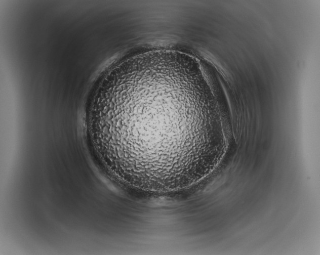 X0000114210634200910161248