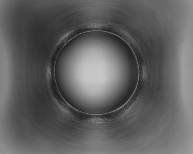 X0000114210636200910161248