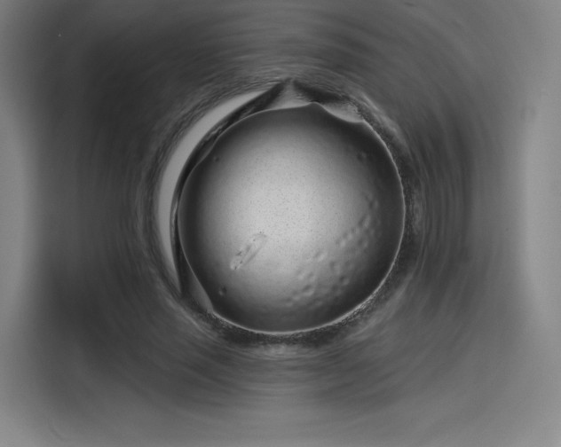 X0000114210637200910161248