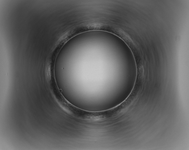 X0000114210638200910161248