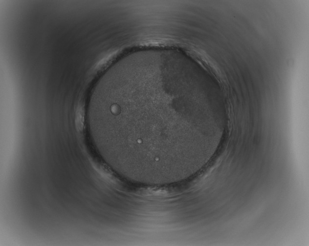 X0000114210640200910161248