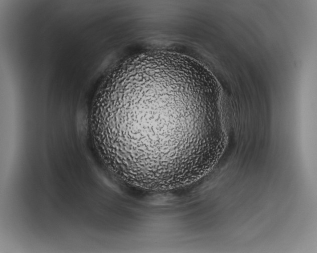 X0000114210642200910161248