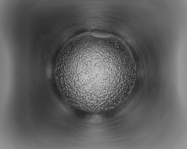 X0000114210647200910161248