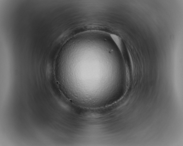 X0000114210648200910161248