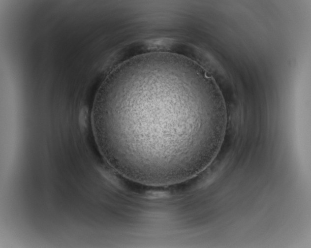 X0000114210649200910161248