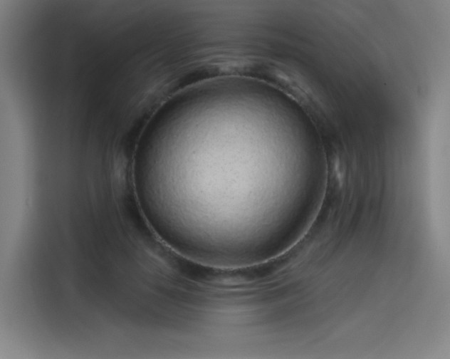 X0000114210650200910161248