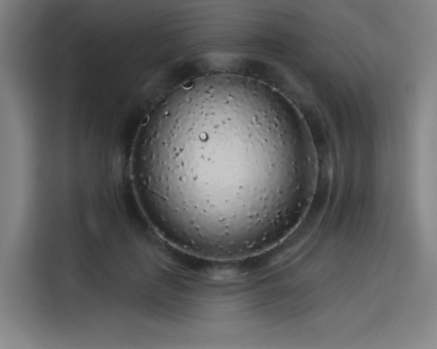 X0000114210651200910161248