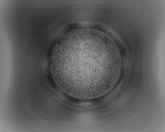 X0000114210653200910161248