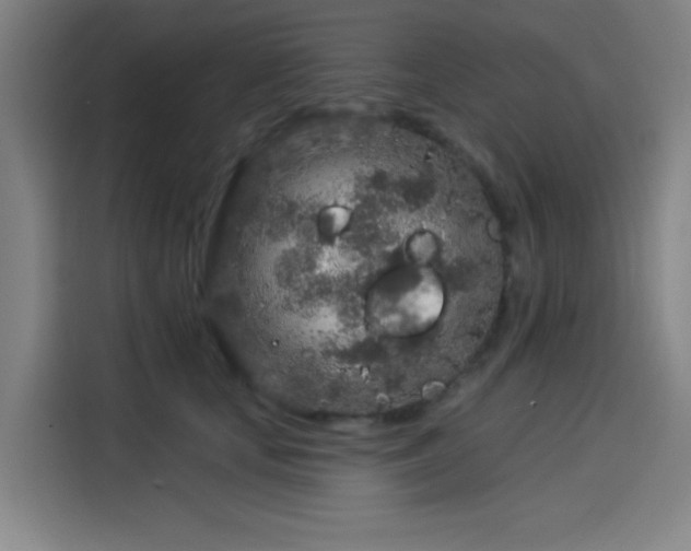 X0000114210659200910161248