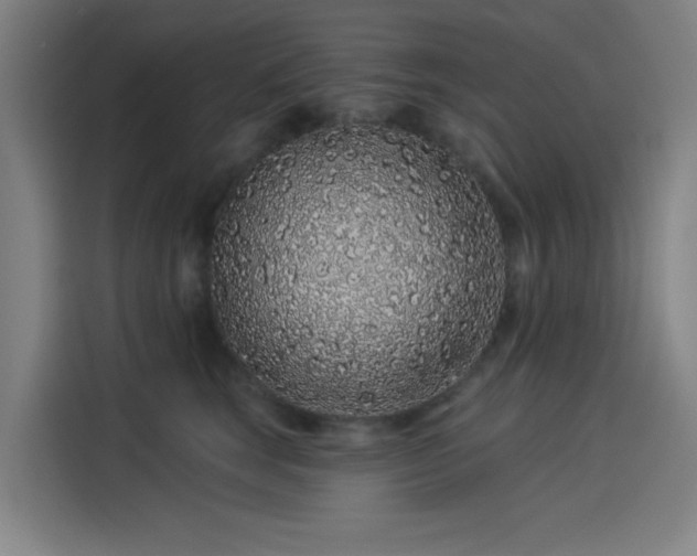 X0000114210663200910161248
