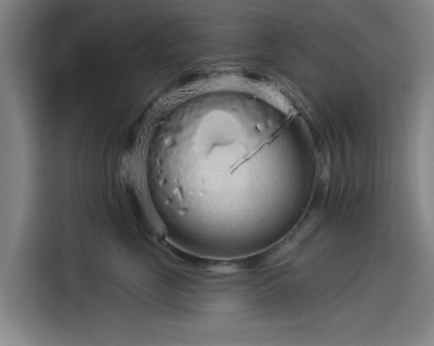 X0000114210669200910161248