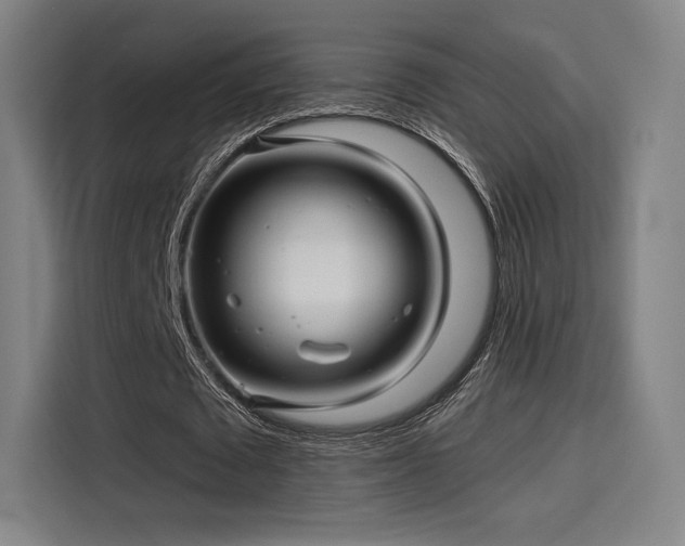 X0000114210673200910161248
