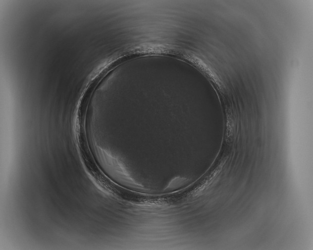 X0000114210674200910161248