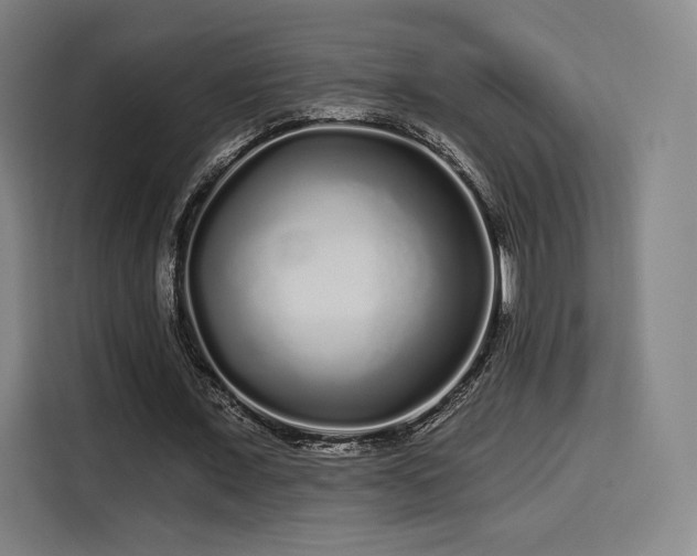 X0000114210675200910161248