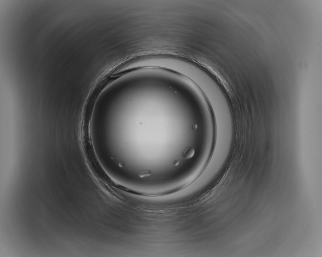 X0000114210677200910161248
