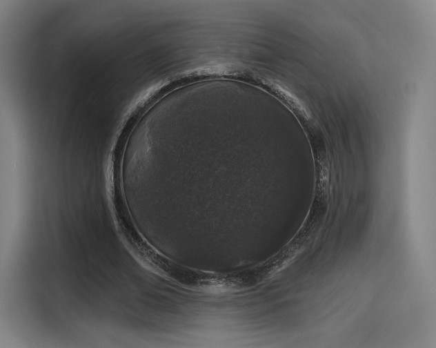 X0000114210678200910161248