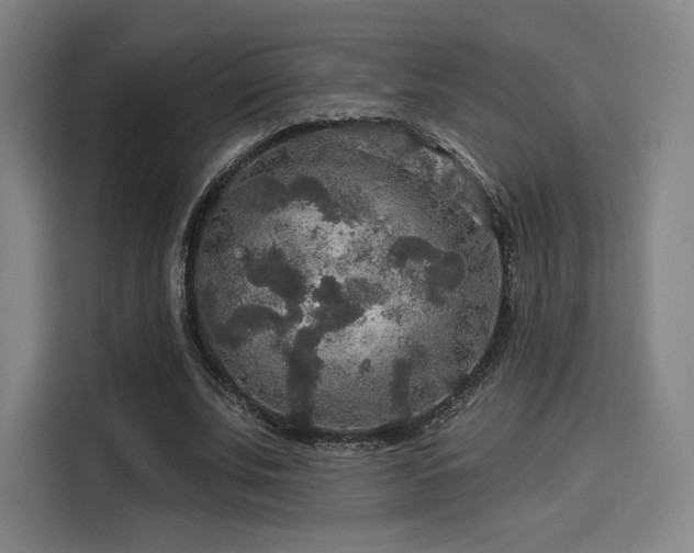X0000114210679200910161248