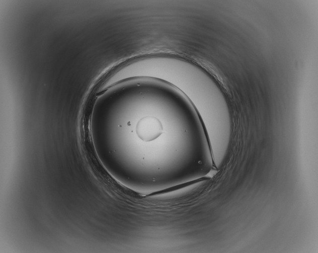 X0000114210680200910161248