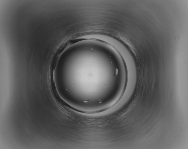 X0000114210681200910161248