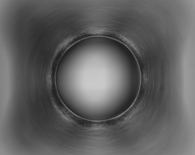X0000114210682200910161248