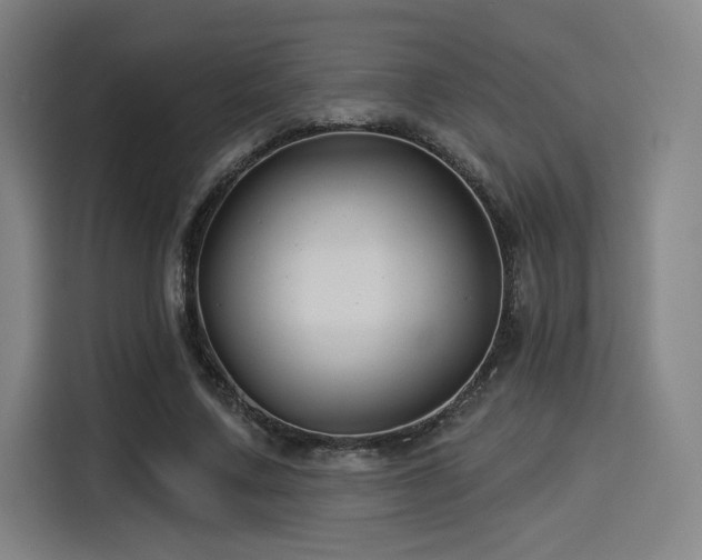 X0000114210683200910161248