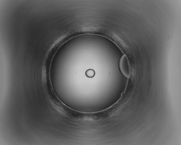X0000114210684200910161248