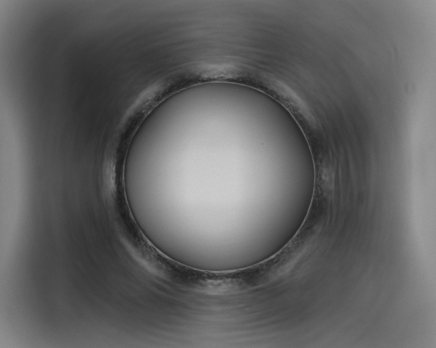 X0000114210686200910161248