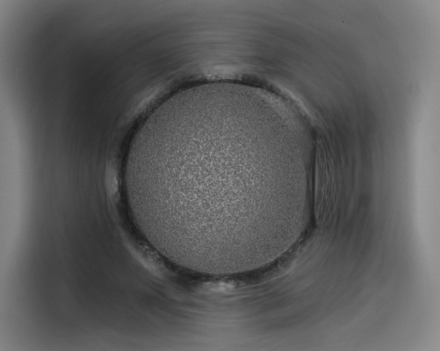 X0000114210687200910161248