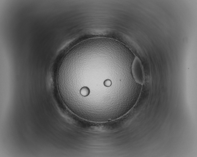 X0000114210688200910161248