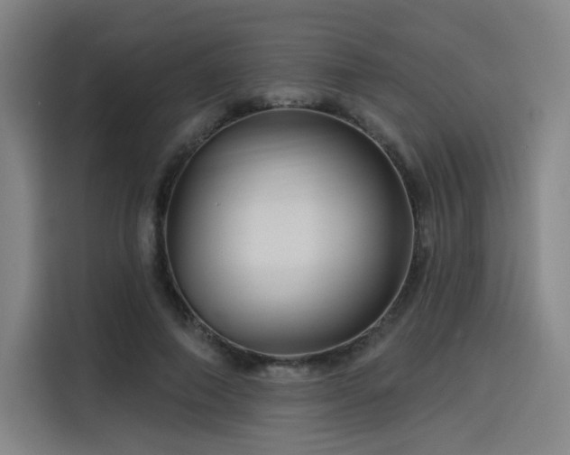 X0000114210690200910161248