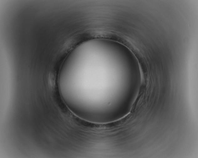 X0000114210695200910161248