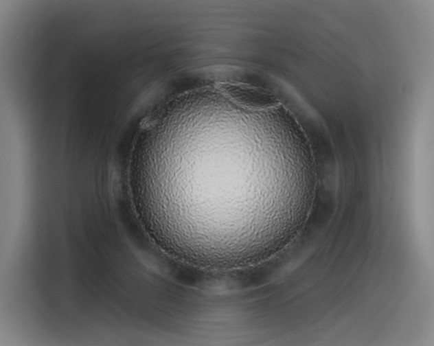 X0000114210696200910161248