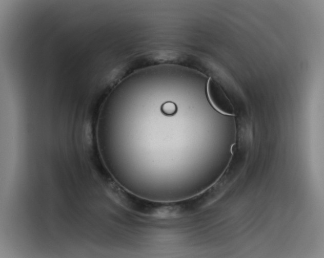 X0000114210700200910161248