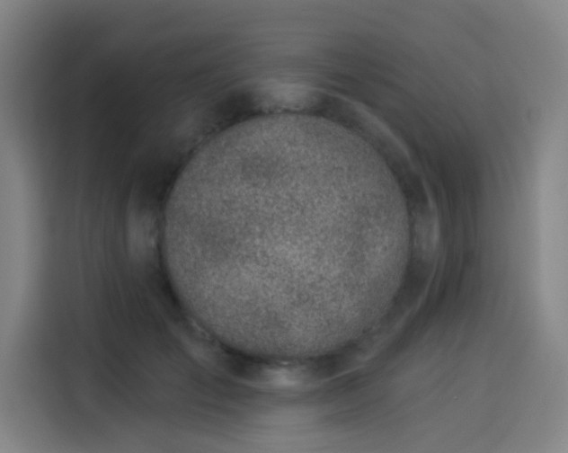 X0000114210701200910161247