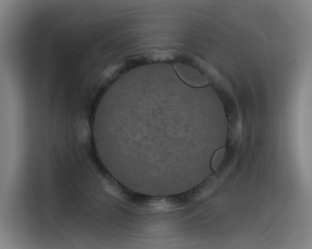 X0000114210704200910161247