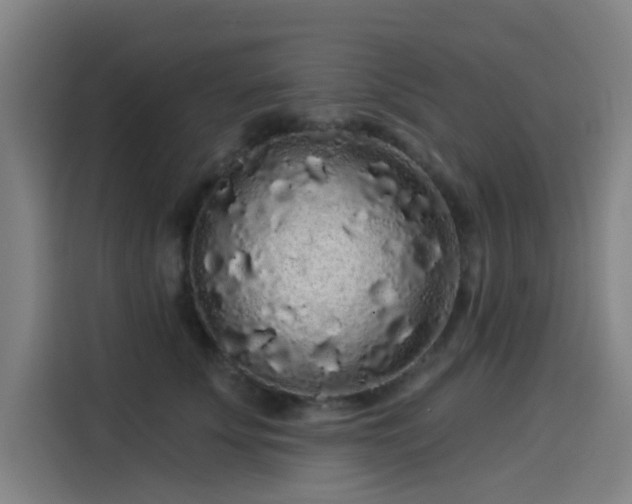 X0000114210707200910161247
